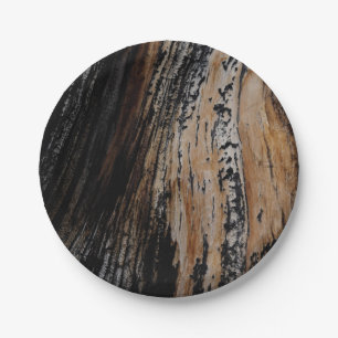 Burnt Tree Bark Pappteller
