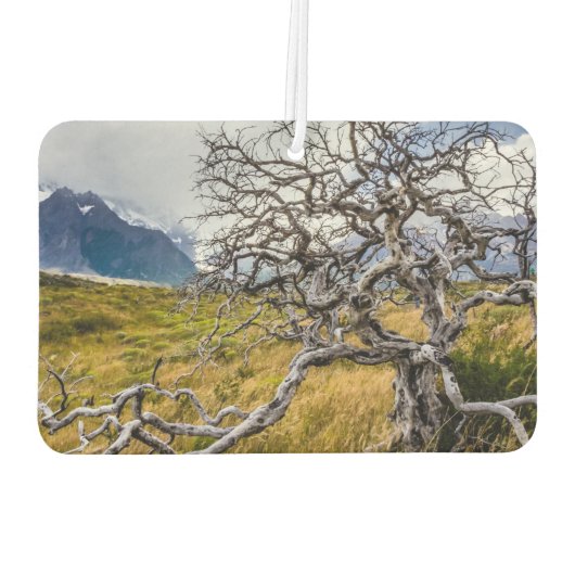 Burnt tree, Torres del Paine, Chile Autolufterfrischer (Rückseite)