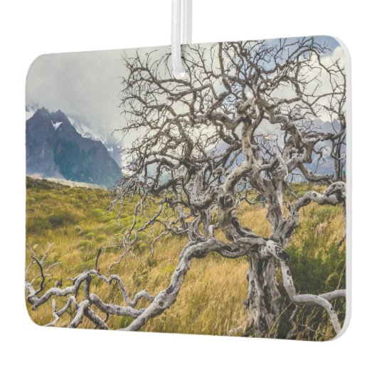 Burnt tree, Torres del Paine, Chile Autolufterfrischer (Links)