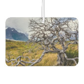 Burnt tree, Torres del Paine, Chile Autolufterfrischer (Vorderseite)