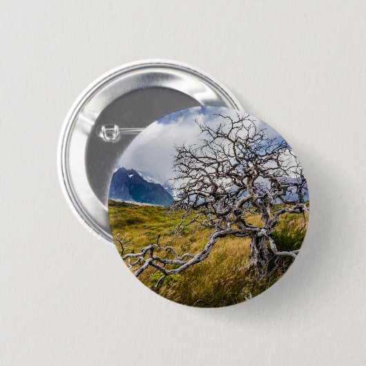 Burnt tree, Torres del Paine, Chile Button (Vorne & Hinten)