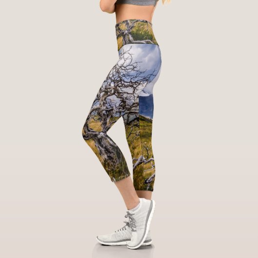 Burnt tree, Torres del Paine, Chile Capri Leggings (Links)