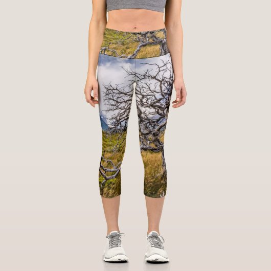 Burnt tree, Torres del Paine, Chile Capri Leggings (Vorderseite)