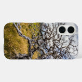 Burnt tree, Torres del Paine, Chile Case-Mate iPhone Hülle (Rückseite (Horizontal))