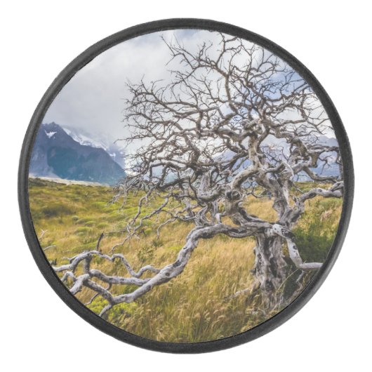 Burnt tree, Torres del Paine, Chile Eishockey Puck (Vorderseite)
