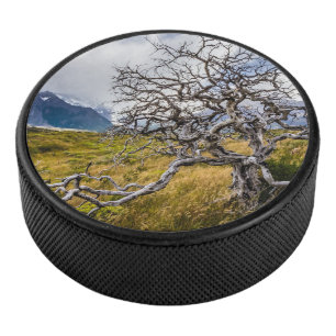 Burnt tree, Torres del Paine, Chile Eishockey Puck