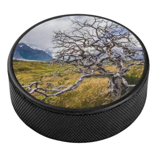 Burnt tree, Torres del Paine, Chile Eishockey Puck (3/4)