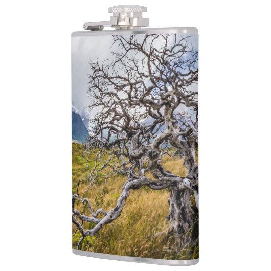 Burnt tree, Torres del Paine, Chile Flachmann (Links)