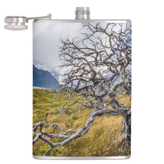 Burnt tree, Torres del Paine, Chile Flachmann (Geöffnet)