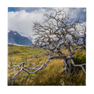 Burnt tree, Torres del Paine, Chile Fliese