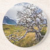 Burnt tree, Torres del Paine, Chile Getränkeuntersetzer (Vorne)