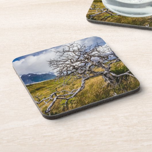 Burnt tree, Torres del Paine, Chile Getränkeuntersetzer (Linke Seite)