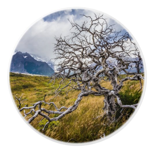 Burnt tree, Torres del Paine, Chile Keramikknauf (Vorderseite)