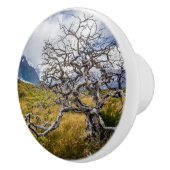 Burnt tree, Torres del Paine, Chile Keramikknauf (Rechts)