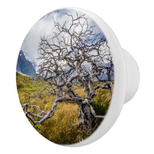 Burnt tree, Torres del Paine, Chile Keramikknauf (Rechts)