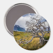 Burnt tree, Torres del Paine, Chile Magnet (Vorderseite/Rückseite)