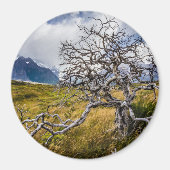 Burnt tree, Torres del Paine, Chile Magnet (Vorne)