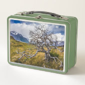 Burnt tree, Torres del Paine, Chile Metall Brotdose (Vorderseite)