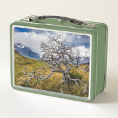 Burnt tree, Torres del Paine, Chile Metall Brotdose (Rückseite)