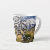 Burnt tree, Torres del Paine, Chile Milchtasse (Rechte Ecke)