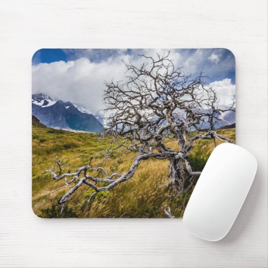Burnt tree, Torres del Paine, Chile Mousepad (Mit Mouse)
