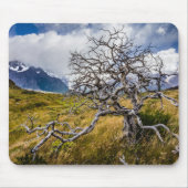 Burnt tree, Torres del Paine, Chile Mousepad (Vorne)