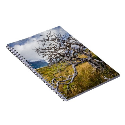 Burnt tree, Torres del Paine, Chile Notizblock (Rechte Seite)