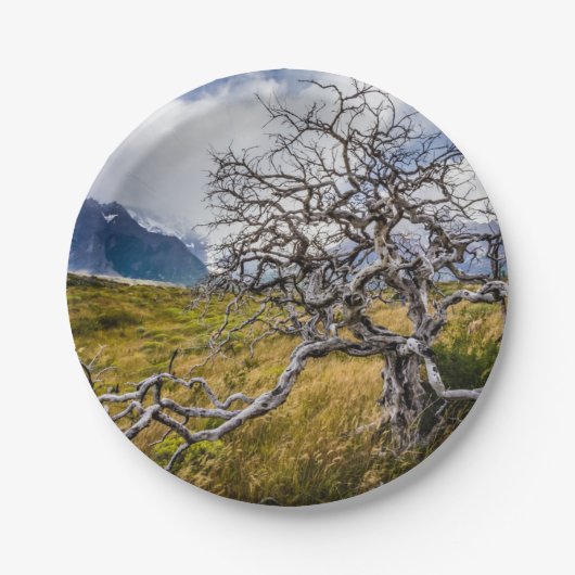 Burnt tree, Torres del Paine, Chile Pappteller (Vorderseite)