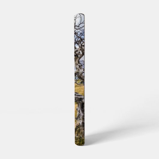 Burnt tree, Torres del Paine, Chile Samsung Galaxy Hülle (Linke Seite)