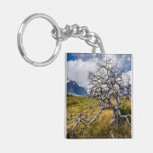 Burnt tree, Torres del Paine, Chile Schlüsselanhänger (Vorderseite links)