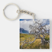 Burnt tree, Torres del Paine, Chile Schlüsselanhänger (Vorderseite)