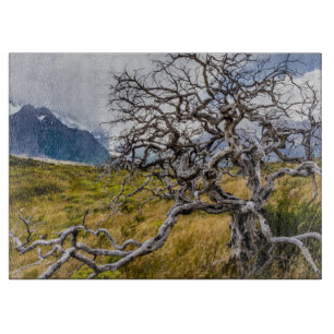 Burnt tree, Torres del Paine, Chile Schneidebrett