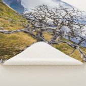 Burnt tree, Torres del Paine, Chile Sherpadecke (3/4)