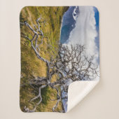 Burnt tree, Torres del Paine, Chile Sherpadecke (Vorderseite)