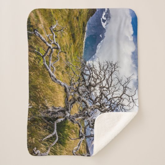 Burnt tree, Torres del Paine, Chile Sherpadecke (Vorderseite)