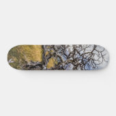Burnt tree, Torres del Paine, Chile Skateboard (Horizontal)