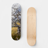 Burnt tree, Torres del Paine, Chile Skateboard (Vorderseite)