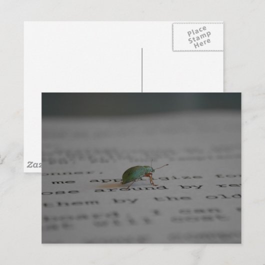 Bürofehler Postkarte (Vorne/Hinten)