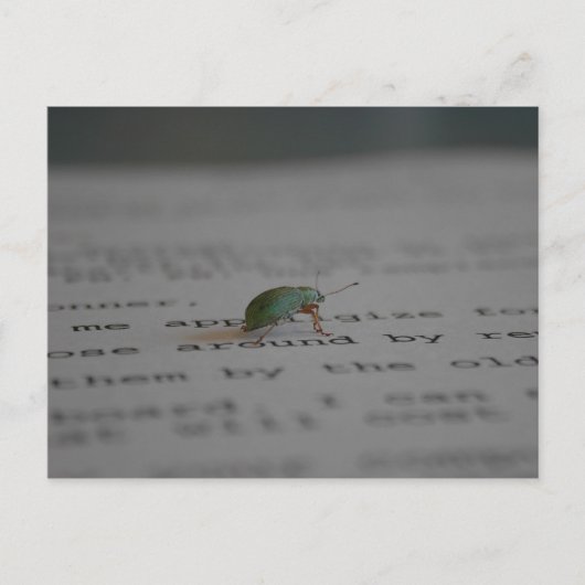 Bürofehler Postkarte (Vorderseite)