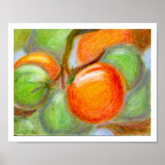 Burpee Tomaten, Poster (Vorne)