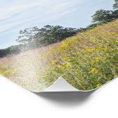 Burr Oak Trees und Prairie Fotodruck (Ecke)