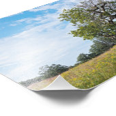 Burr Oak Trees und Prairie Fotodruck (Ecke)