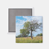 Burr Oak Trees und Prairie Magnet (Vorderseite/Rückseite)