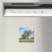 Burr Oak Trees und Prairie Magnet (In Situ (Geschirrspüler))