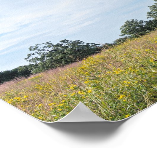 Burr Oak Trees und Prairie Poster (Ecke)