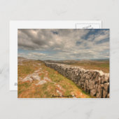 Burren Stone Wall Postkarte (Vorne/Hinten)