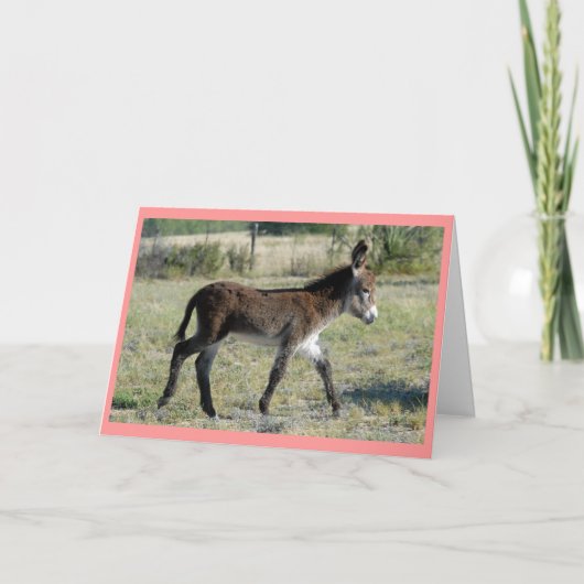 "Burrito-Baby-Karte " Ankündigung (Vorderseite)