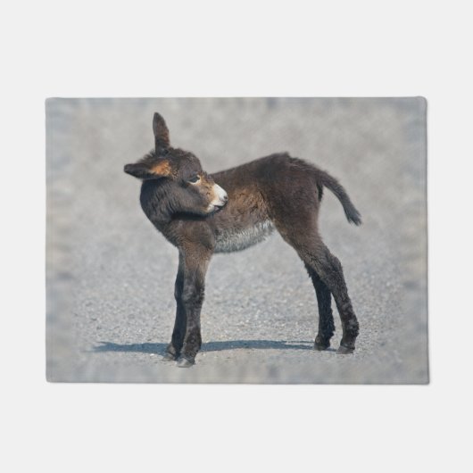 Burro Doormat Fußmatte (Vorderseite)