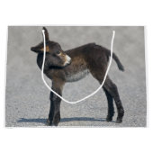 Burro-Geschenk-Tasche Große Geschenktüte (Vorderseite)