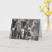 Burro-Gruß-Karte Karte (Gelbe Blume)
